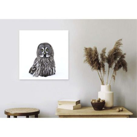 BARN OWL canvas print