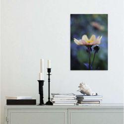 DAHLIA MIGNON canvas print