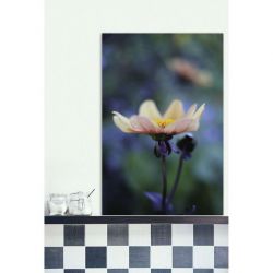 DAHLIA MIGNON canvas print