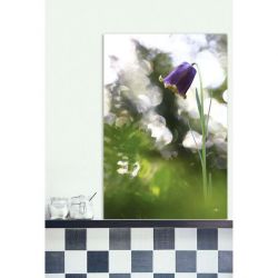 PYRENEAN FRITILLARY canvas print