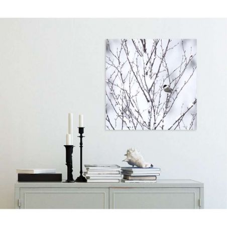 BOREAL SWAMP canvas print