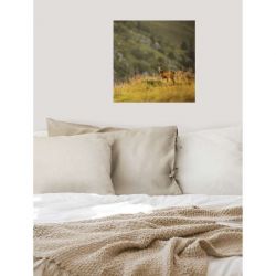 LITTLE CHAMOIS canvas print