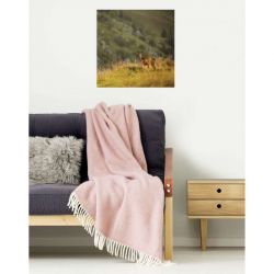 LITTLE CHAMOIS canvas print