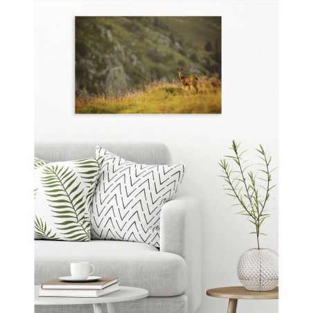 LITTLE CHAMOIS canvas print