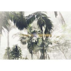 PALM TREES poster