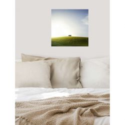 LIGHT TREES canvas print