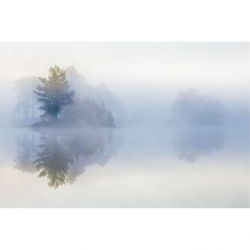 MOODY MORNING canvas print