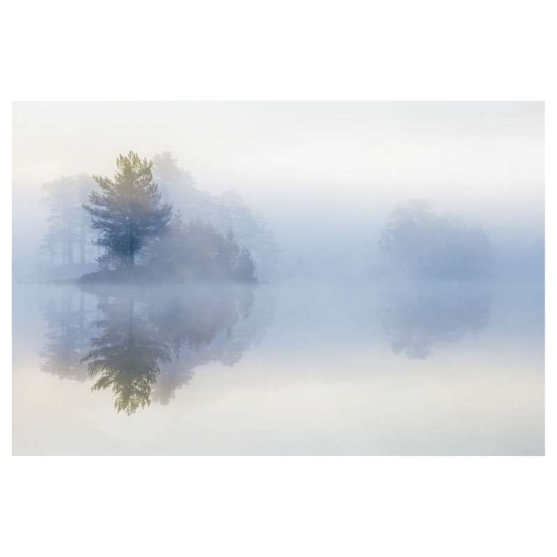 MOODY MORNING canvas print - Nature landscape
