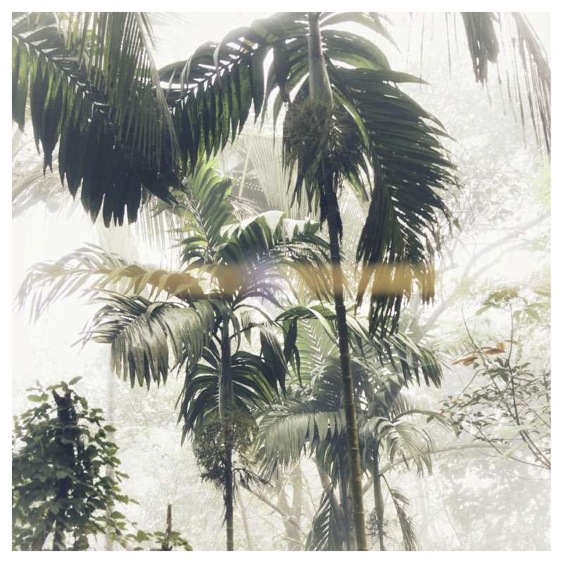PALM TREES canvas print - Tropical