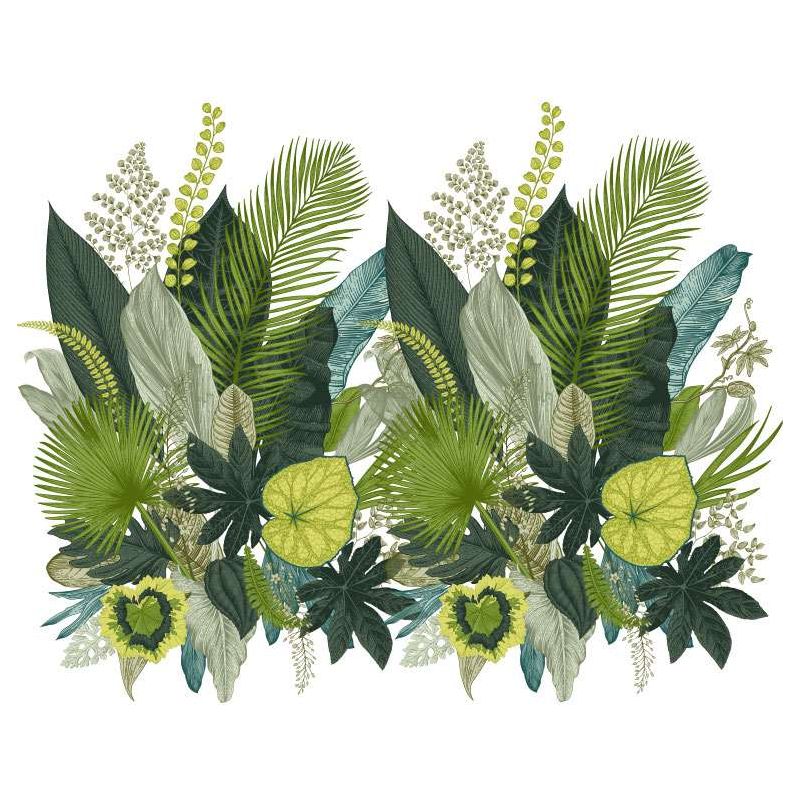 BOTANICAL ILLUSTRATION wallpaper - Panoramic wallpaper