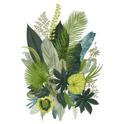 BOTANICAL ILLUSTRATION poster