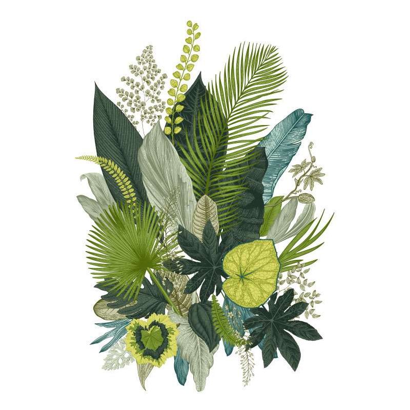 BOTANICAL ILLUSTRATION poster - Livingroom poster