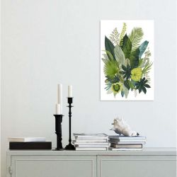 BOTANICAL ILLUSTRATION canvas