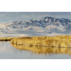 BEAR RIVER UTAH canvas