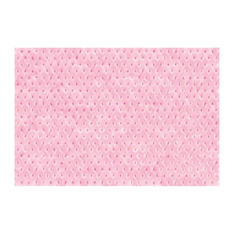 Papier Peint BOUDOIR - Papier peint rose