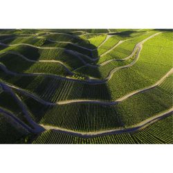 Tableau ROUTE DES VINS DE MOSELLE