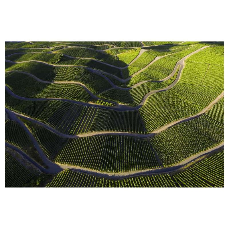 Tableau ROUTE DES VINS DE MOSELLE - Tableaux xxl