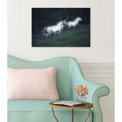 STEAMY RACE canvas print