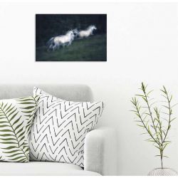 STEAMY RACE canvas print