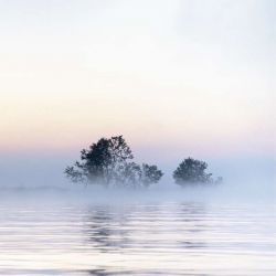 DANUBE DELTA canvas print