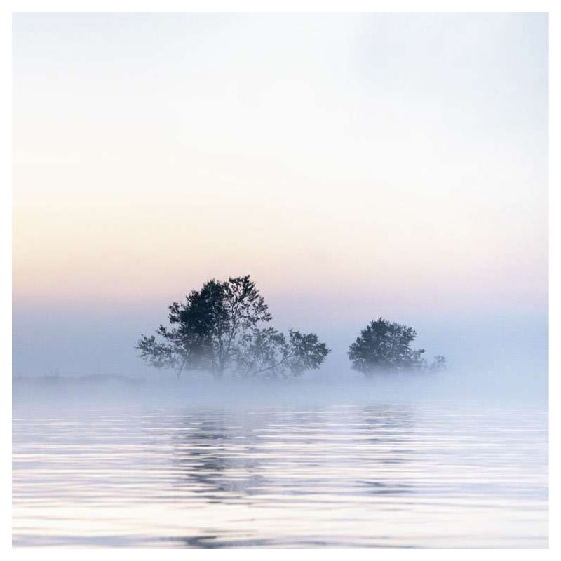 DANUBE DELTA canvas print - Nature landscape