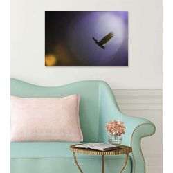 EAGLE FORCE canvas print