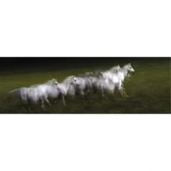 LIPIZZAN canvas print