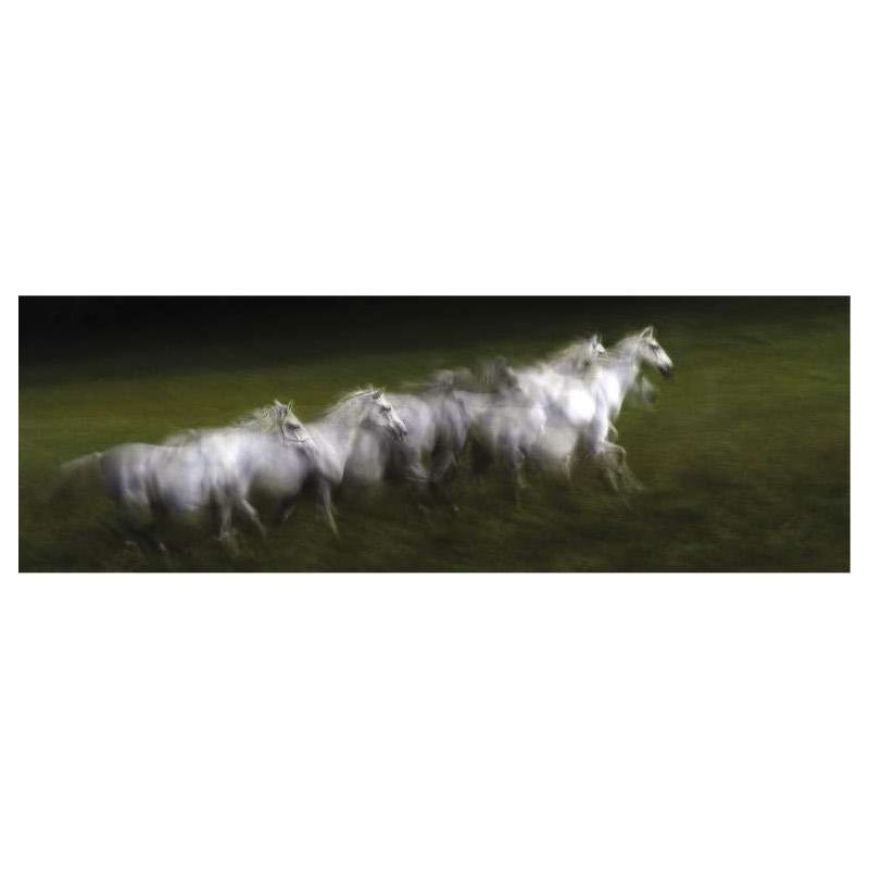 LIPIZZAN canvas print - Xxl canvas prints