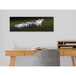 LIPIZZAN canvas print