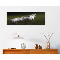 LIPIZZAN canvas print