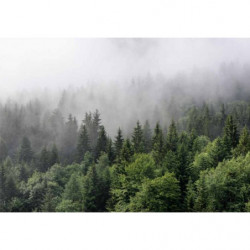 MISTY FOREST Canvas print