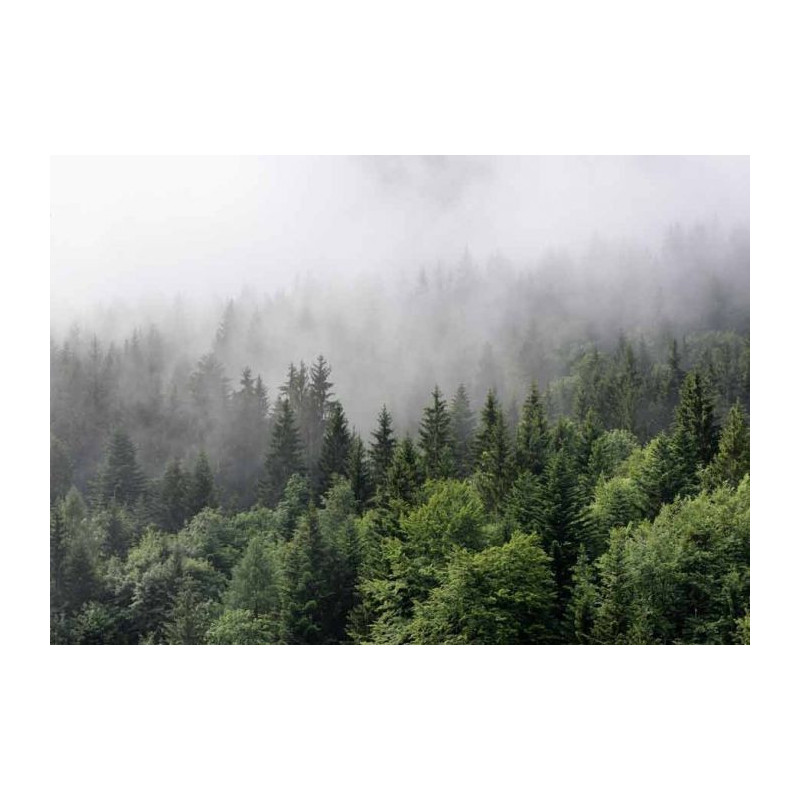 Tableau BRUME EN FORET - Tableau paysage et nature