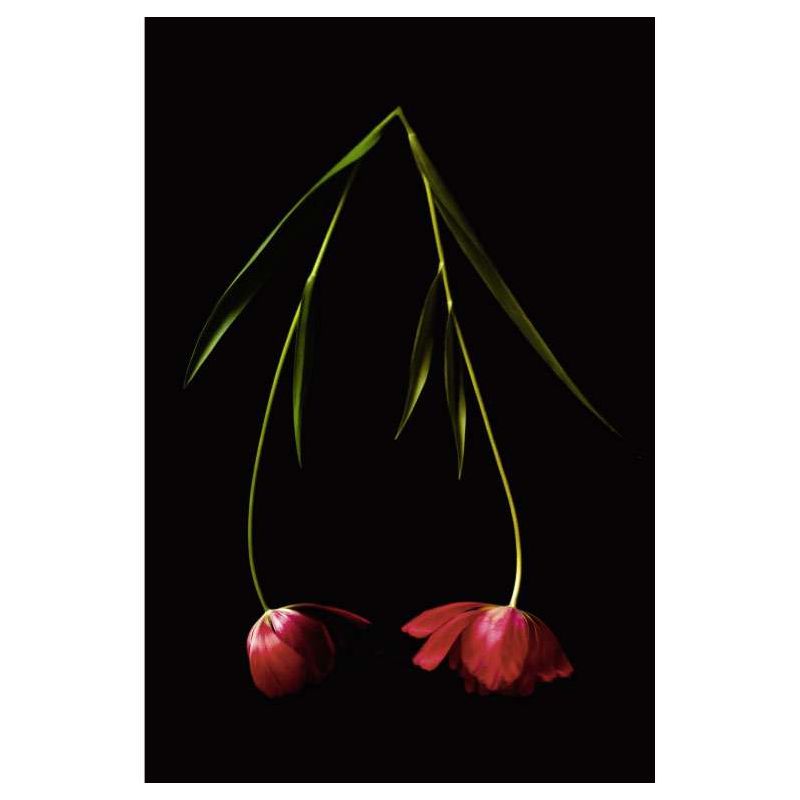 TULIPA canvas print - Textile canvas