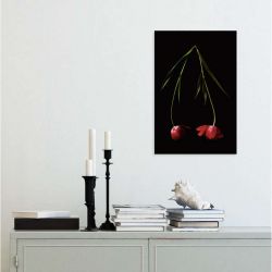 Tableau TULIPA