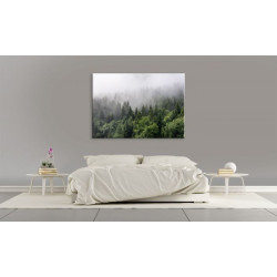 MISTY FOREST Canvas print