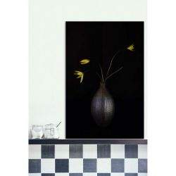 WILD TULIPS canvas print