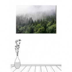 MISTY FOREST Canvas print