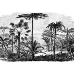 PALM TREE ENGRAVING canvas print