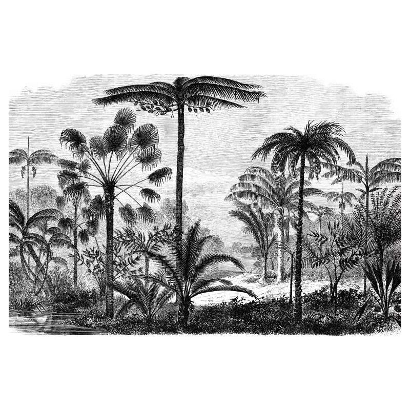 Tableau GRAVURE PALMIER - Tableau jungle