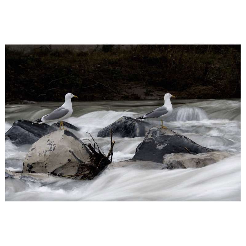 BORD DE LA DROME canvas - Nature landscape