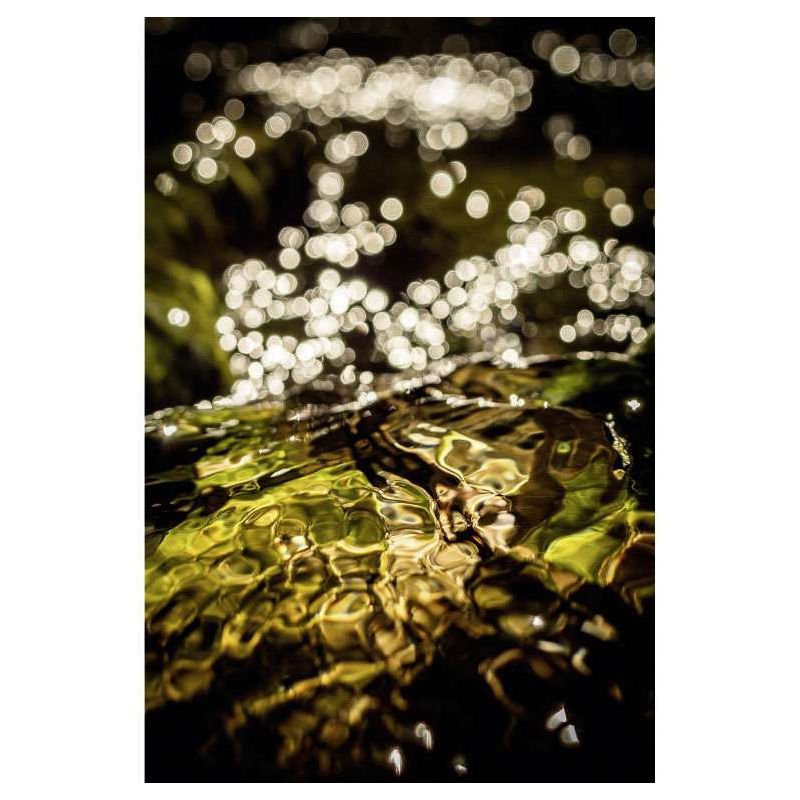 Tableau REFLETS DANS LA RIVIERE - Tableau paysage et nature