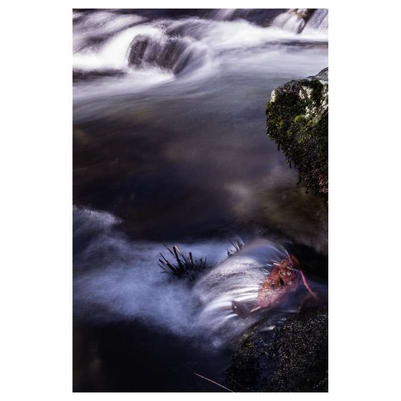 GANIERE RIVER - Nature landscape