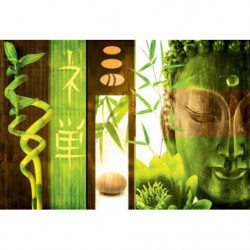 GREEN BUDDHA Canvas print