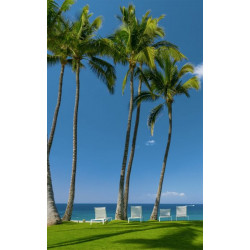 IN THE SHADE OF THE PALM TREES wall hanging