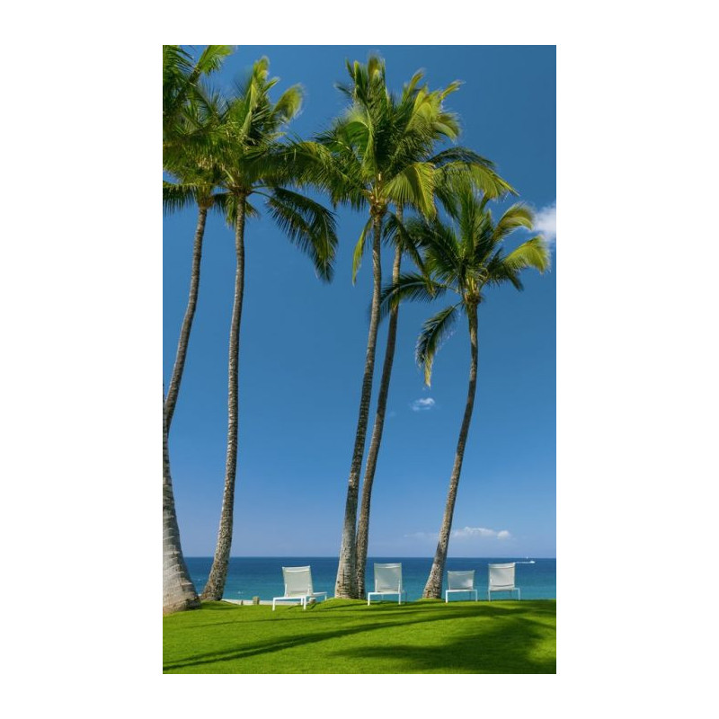 IN THE SHADE OF THE PALM TREES wall hanging - Nature landscape wall hanging tapestry