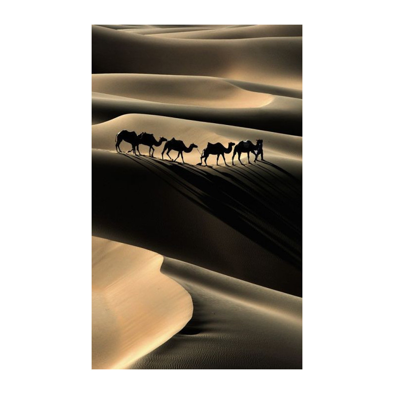 CARAVAN Wall hanging - Nature landscape wall hanging tapestry