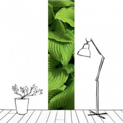 PLANT CASCADE wallpaper