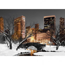 CENTRAL PARK LIGHTS canvas print