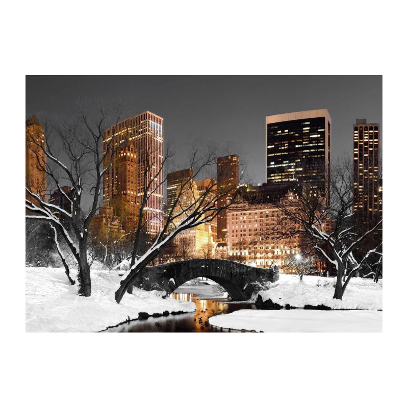 CENTRAL PARK LIGHTS canvas print - Canvas print for living room