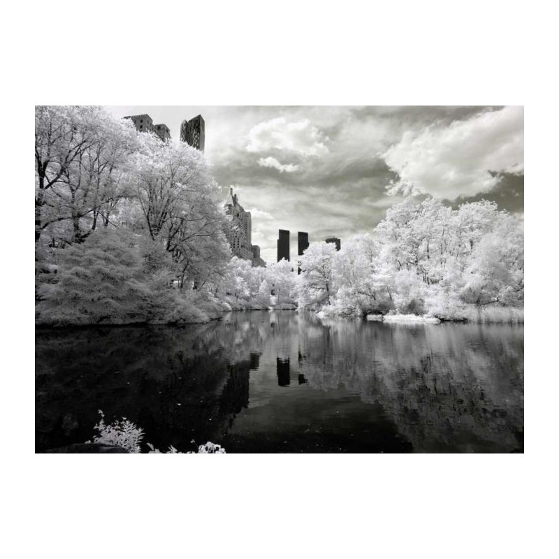 CENTRAL PARK B&W Poster - Black white poster